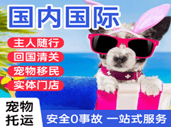 腾鳌机场邮寄国际宠物托运 【国